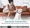 Dog Training Collar with Remote Control,
