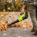 Cordless Leaf Blower, 20V Leaf Blower with 2 x 2.0Ah Batteries & Charger, Up to 450CFM/150MPH, 2 Variable Speed, Lightweight for Blowing Leaves, Patio Cleaning, Lawn Care and Dust (Green)